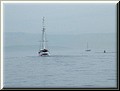 Adria0249.JPG